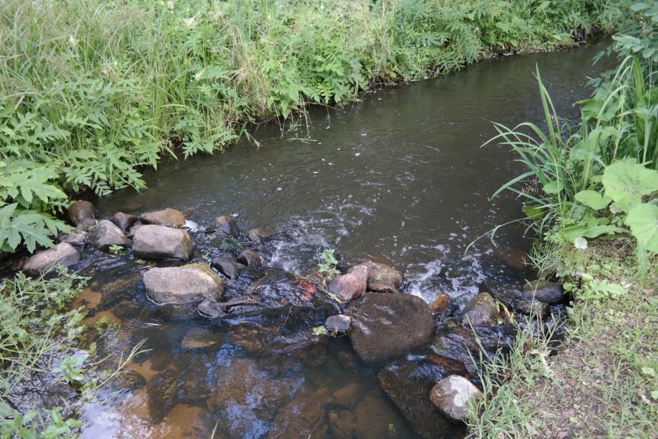 Latava Villa Anykščiai Eksteriør bilde